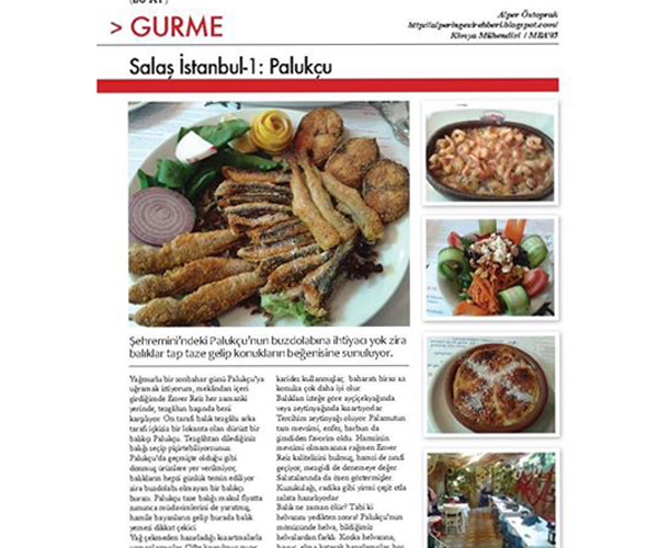 Basında Palukçu