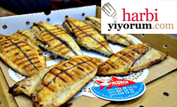 Basında Palukçu